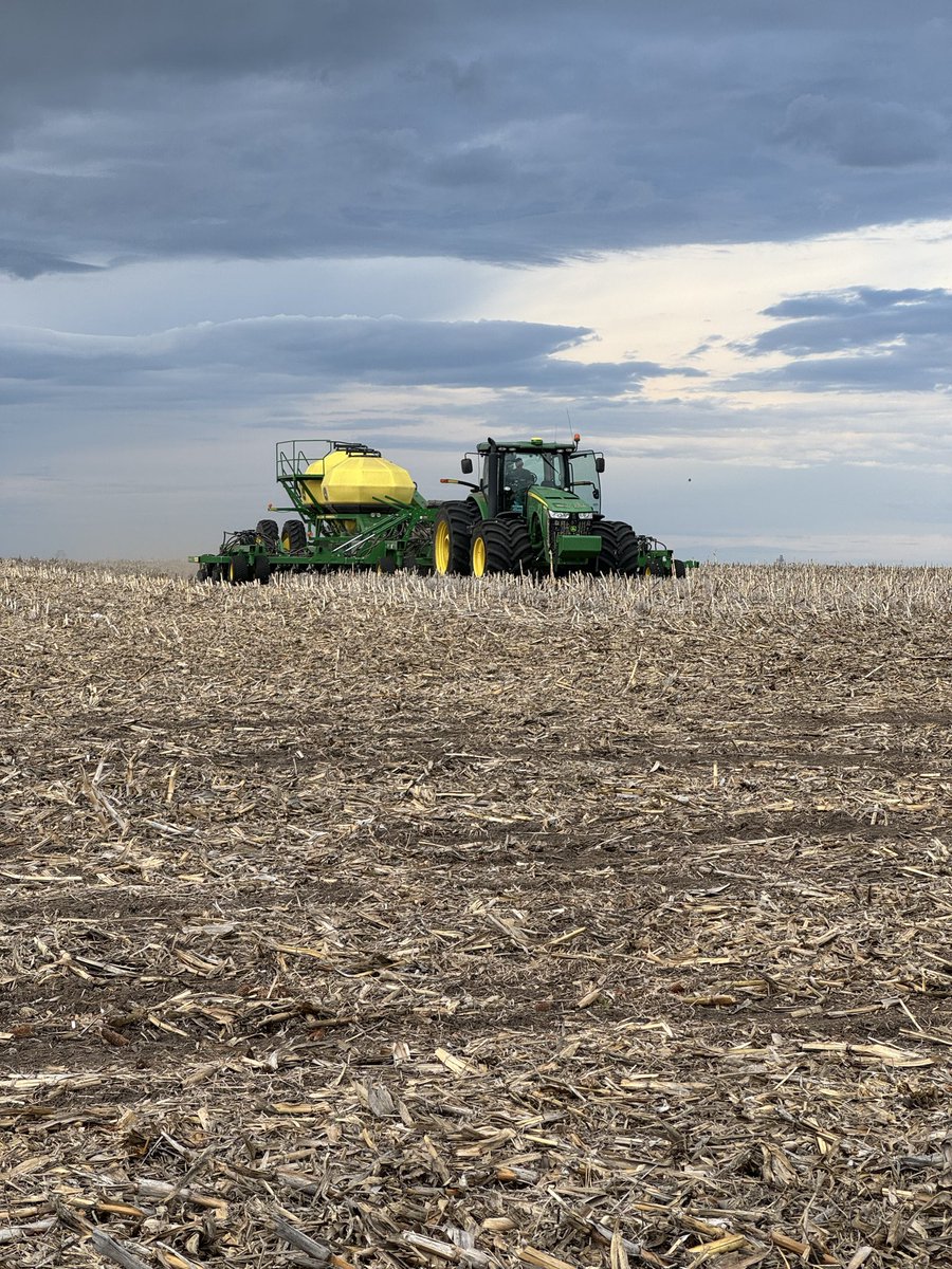 Wiesters tweet media