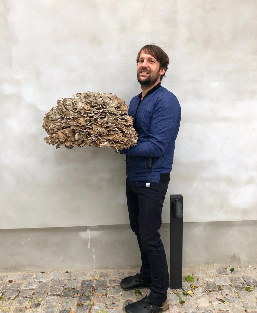 Alejandro Franco tweet media