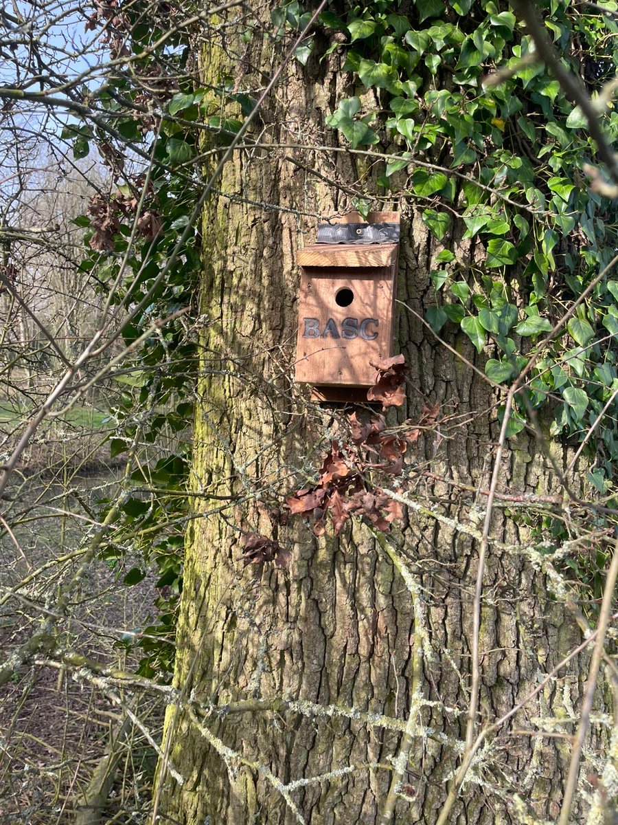 BASC Central tweet media