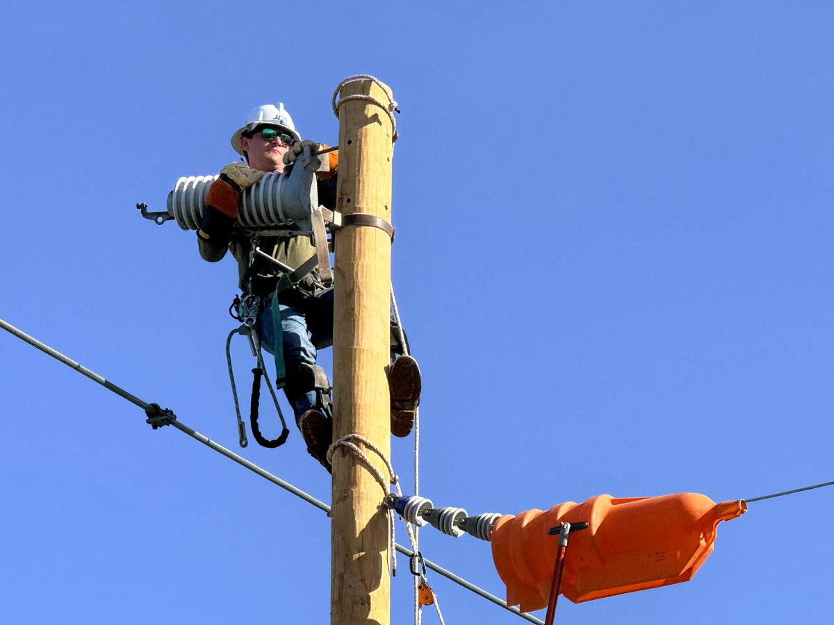 Florida Public Power tweet media