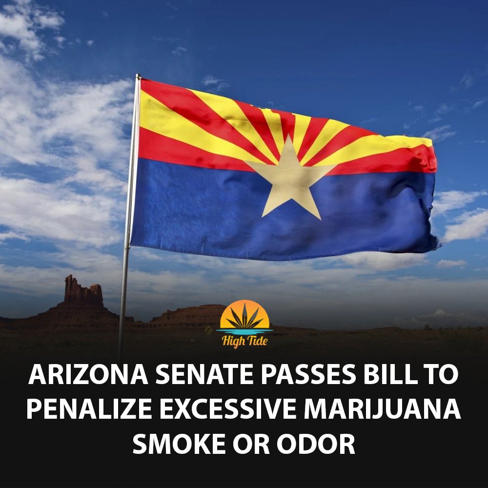 High Tide tweet media