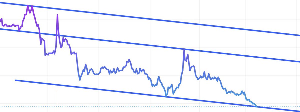 BuyAndHold tweet media