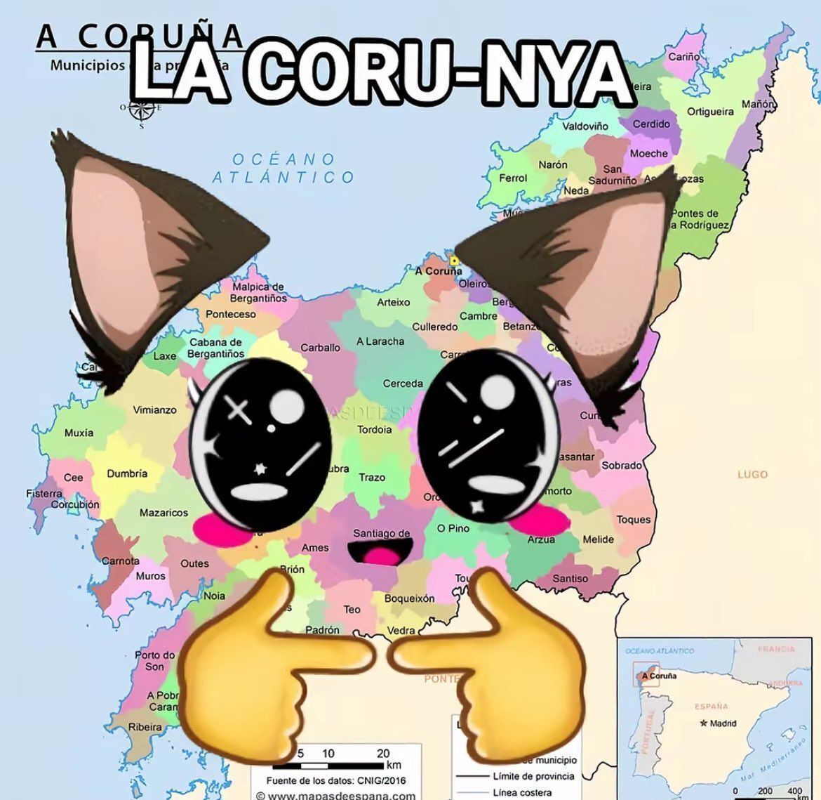 chincheto pirata somali tweet media