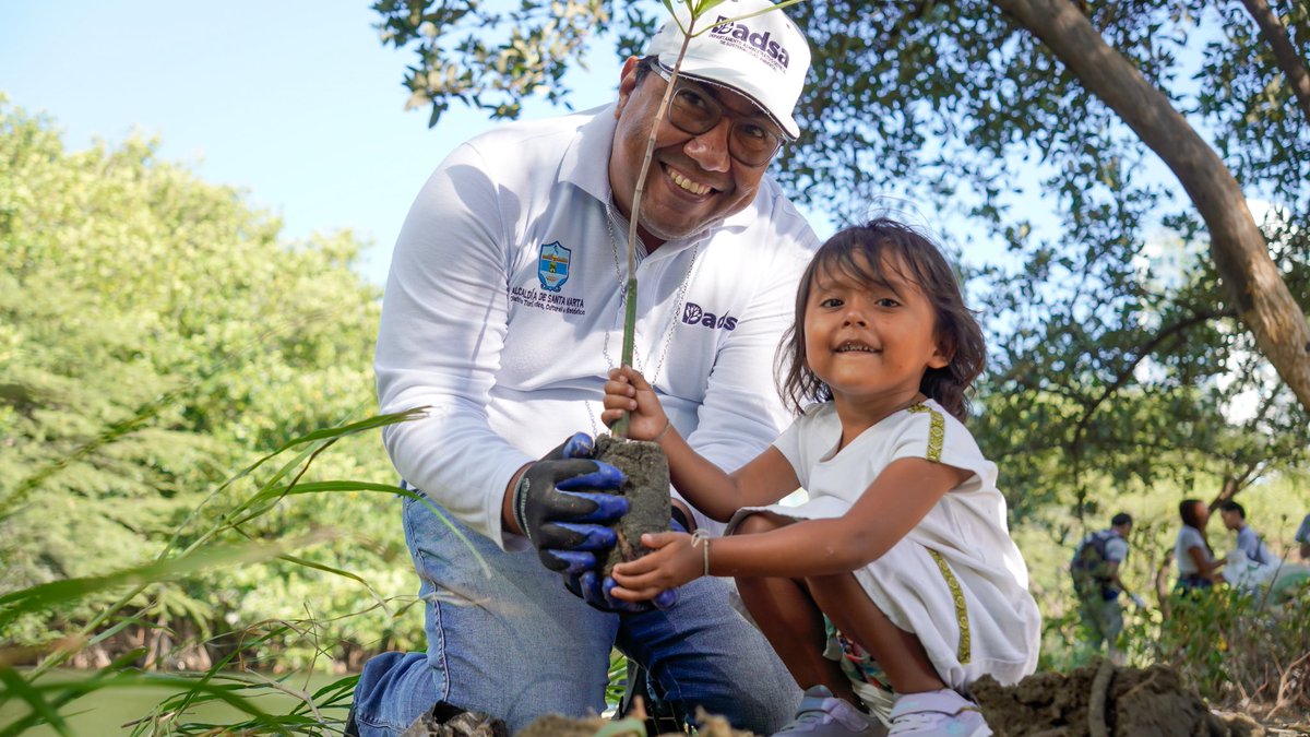 DADSA Santa Marta tweet media