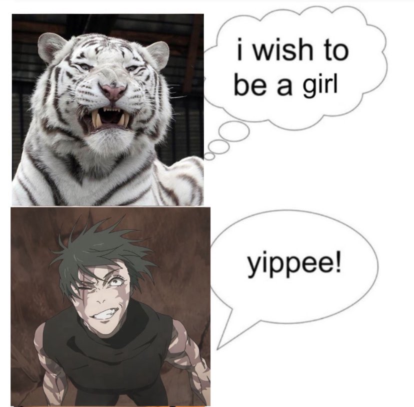 maki culture 🌾 tweet media