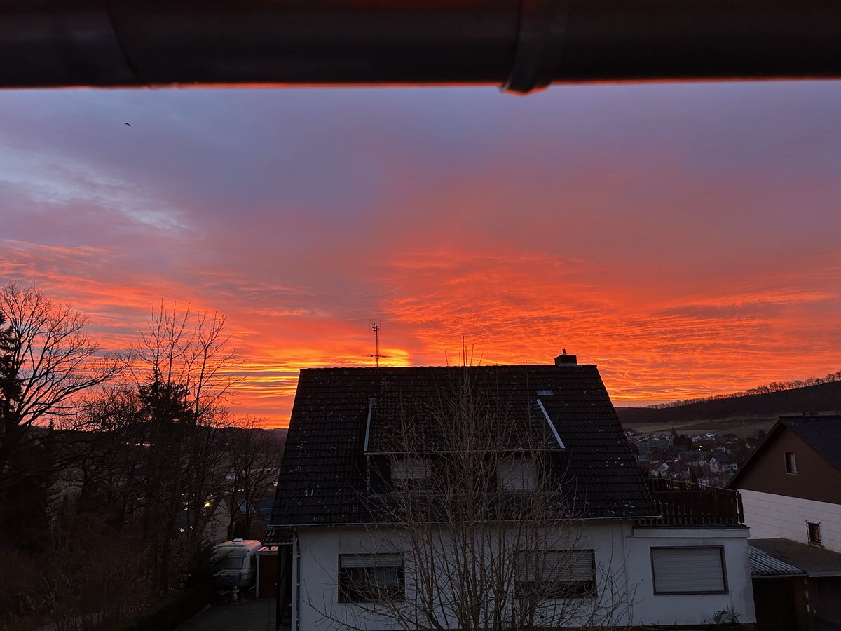 Mad Simon 🎒 tweet media