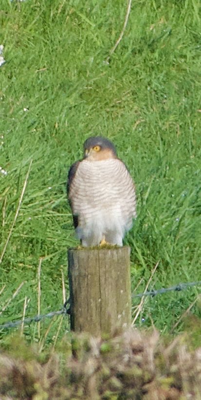 (Barry Dursley) tweet media