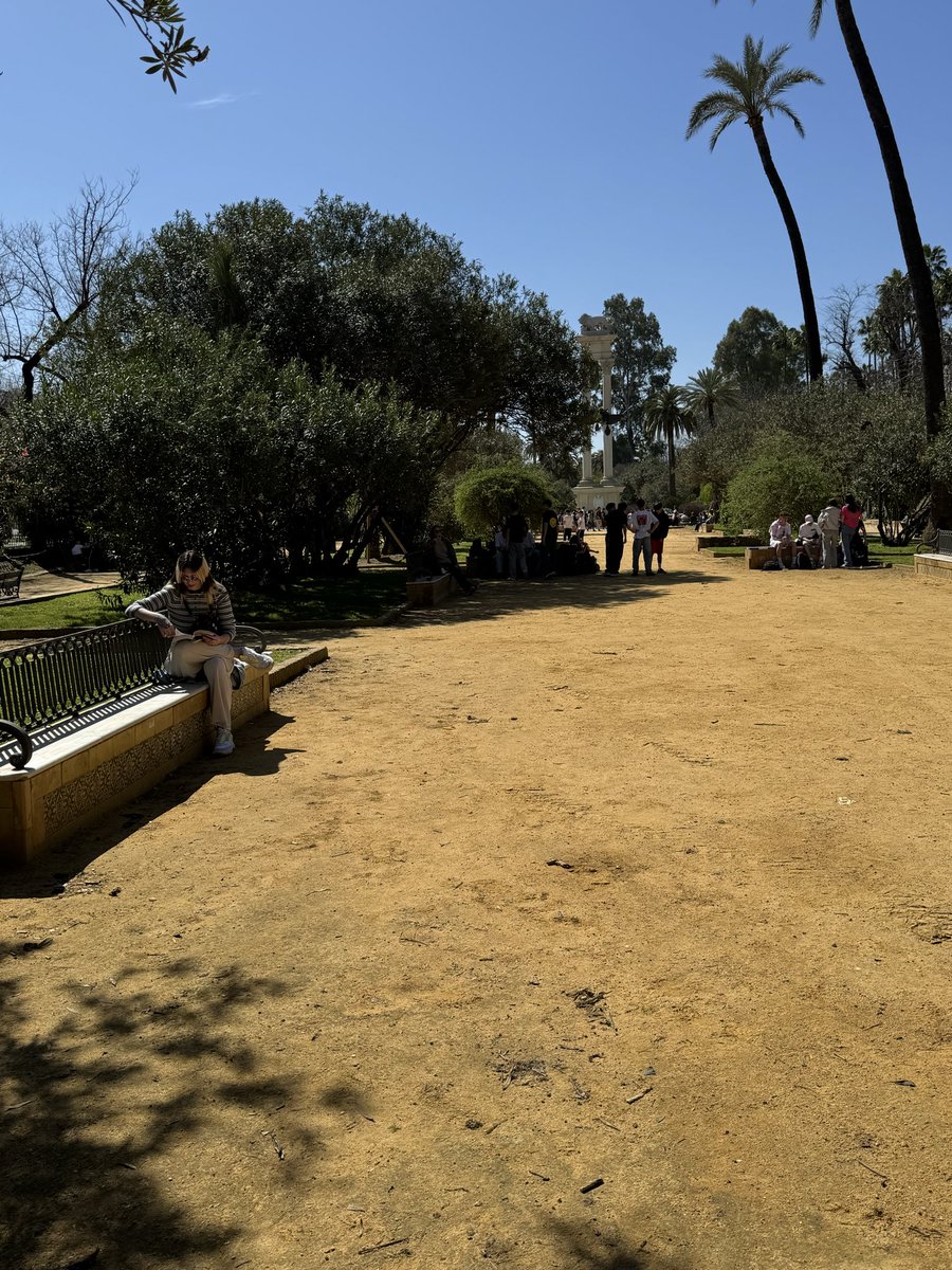 Jaime Staples tweet media