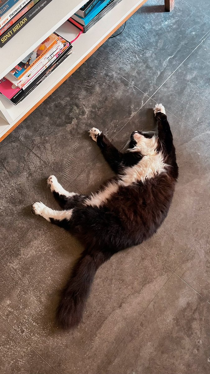 eu me sinto o pikachu tweet media