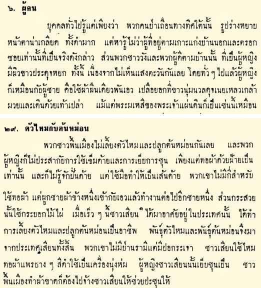 ติ่งตอนแก่ Nene(Qala Nôir) - 20 Something tweet media
