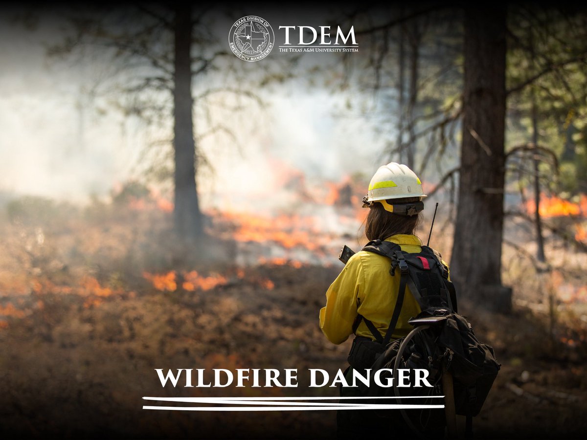 Texas Division of Emergency Management tweet media