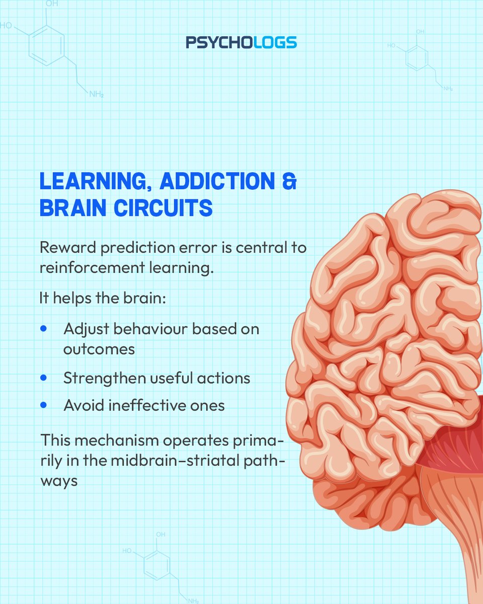 PsychologsIndia's tweet photo. Dopamine isn’t just about pleasure; it encodes reward prediction error—the gap between what we expect and what actually happens. 🧠

✨ Follow for more psychology and neuroscience insights.

#Dopamine #RewardPredictionError #Neuroscience #BrainLearning #PsychologyFacts https://t.co/EVkepD9Fbe