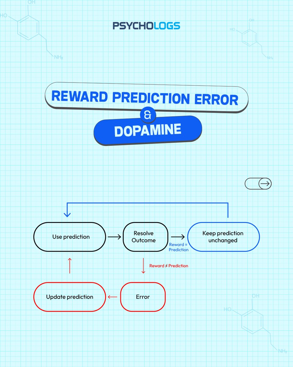 PsychologsIndia's tweet photo. Dopamine isn’t just about pleasure; it encodes reward prediction error—the gap between what we expect and what actually happens. 🧠

✨ Follow for more psychology and neuroscience insights.

#Dopamine #RewardPredictionError #Neuroscience #BrainLearning #PsychologyFacts https://t.co/EVkepD9Fbe