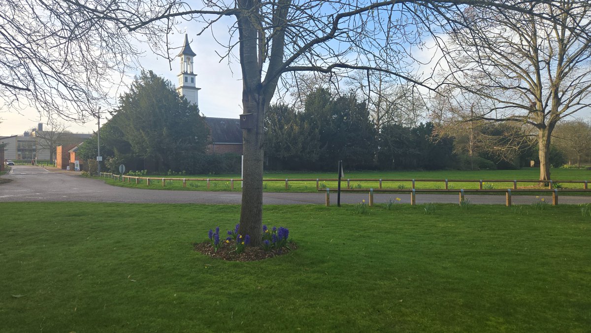 Katie Galloway tweet media