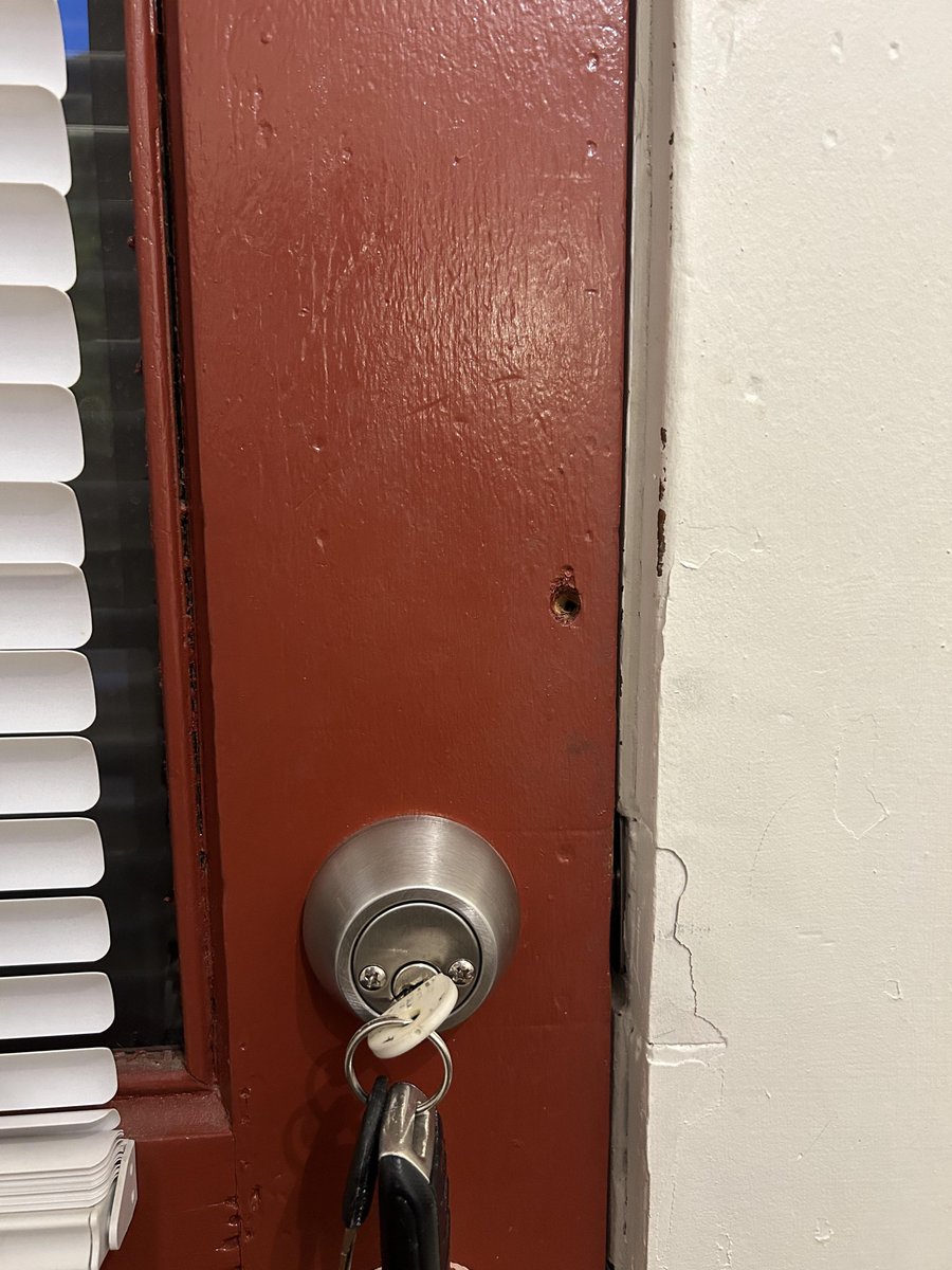 Debby van Berkel tweet media