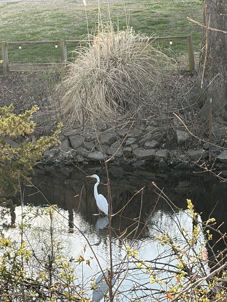 jolli ❀🧋 tweet media