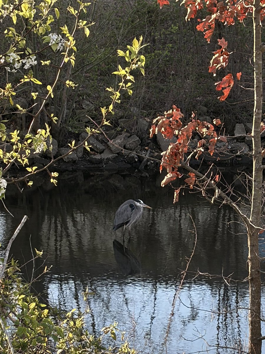 jolli ❀🧋 tweet media