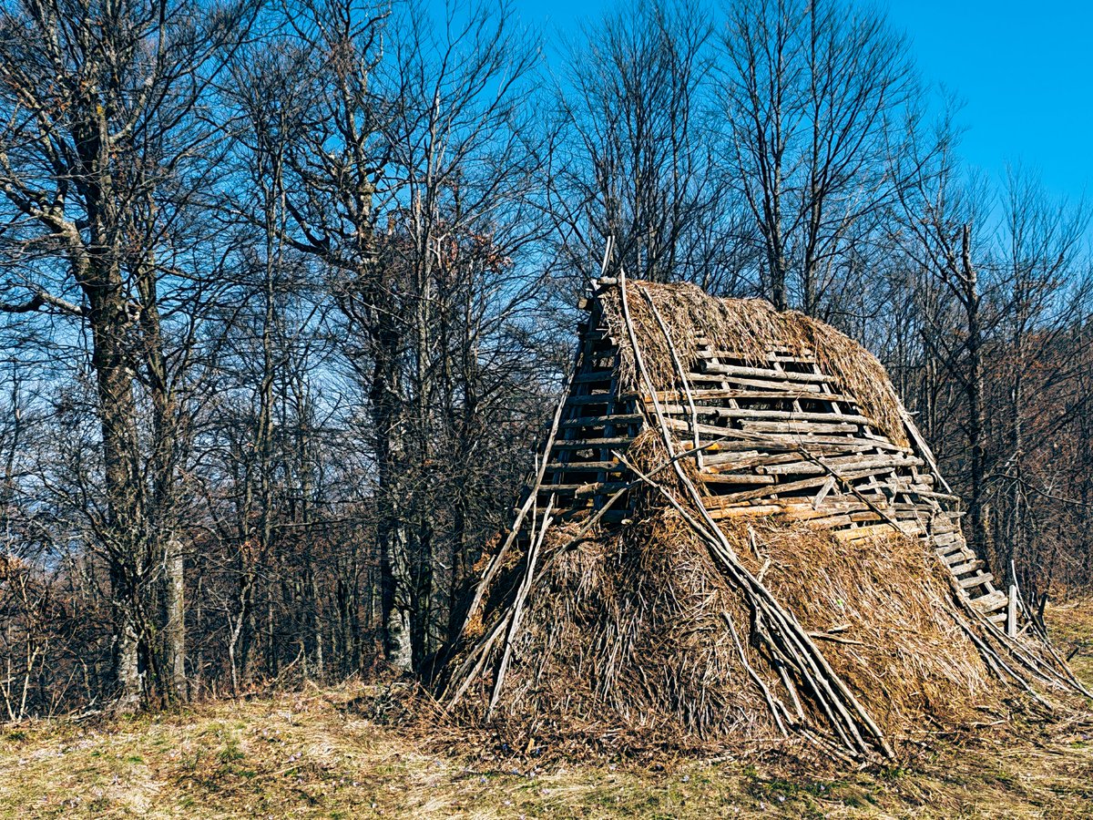 Goč