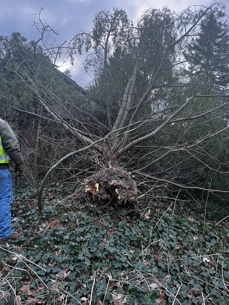 Mahaley Nemtuda tweet media