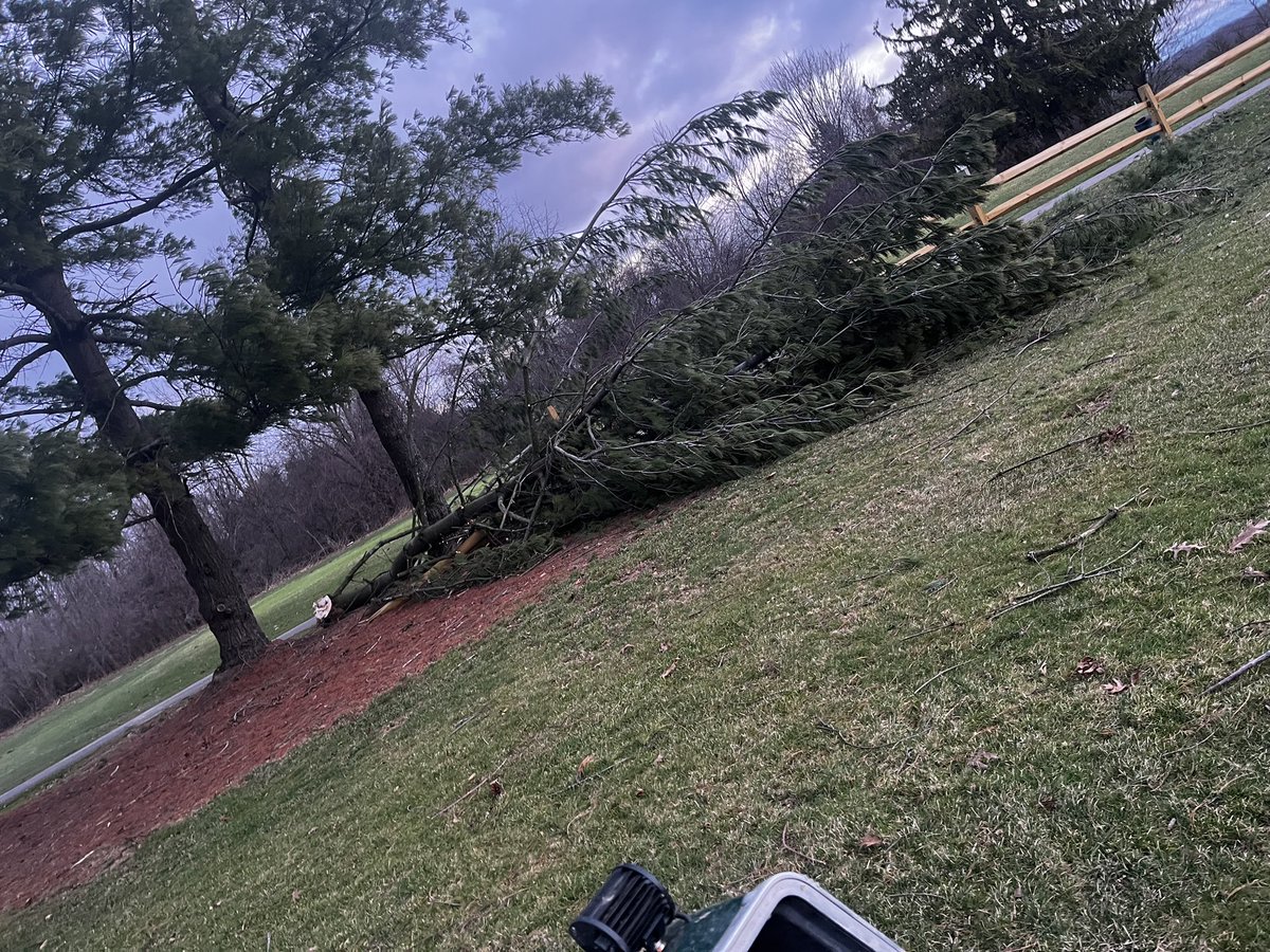 Mahaley Nemtuda tweet media