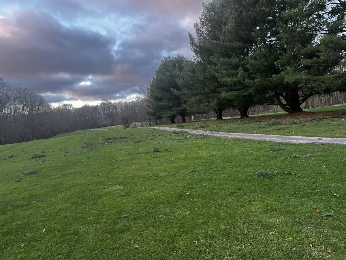 Mahaley Nemtuda tweet media