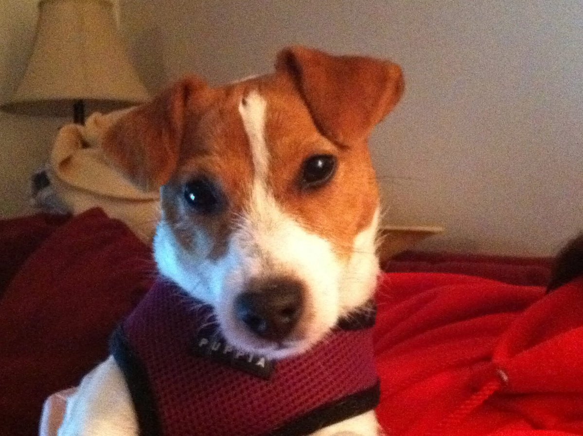 Capt. Daisy Mae tweet media