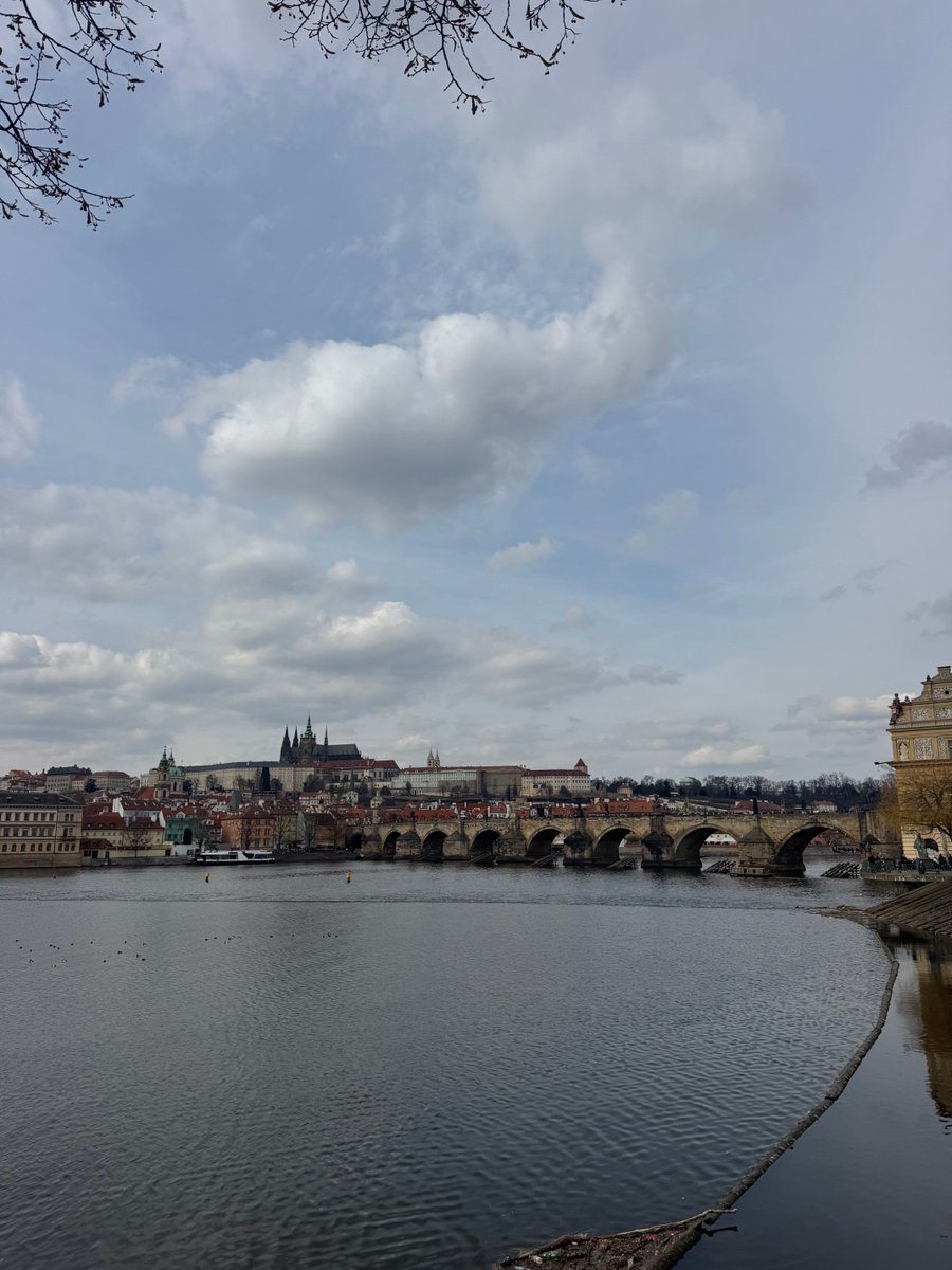 Steve Curtin tweet media