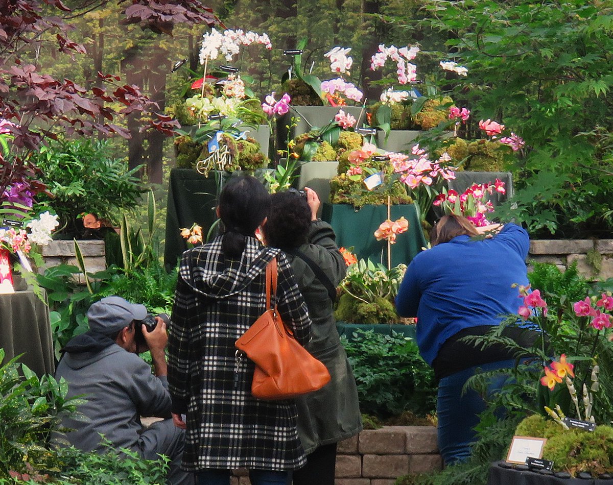 Colleen Zacharias tweet media