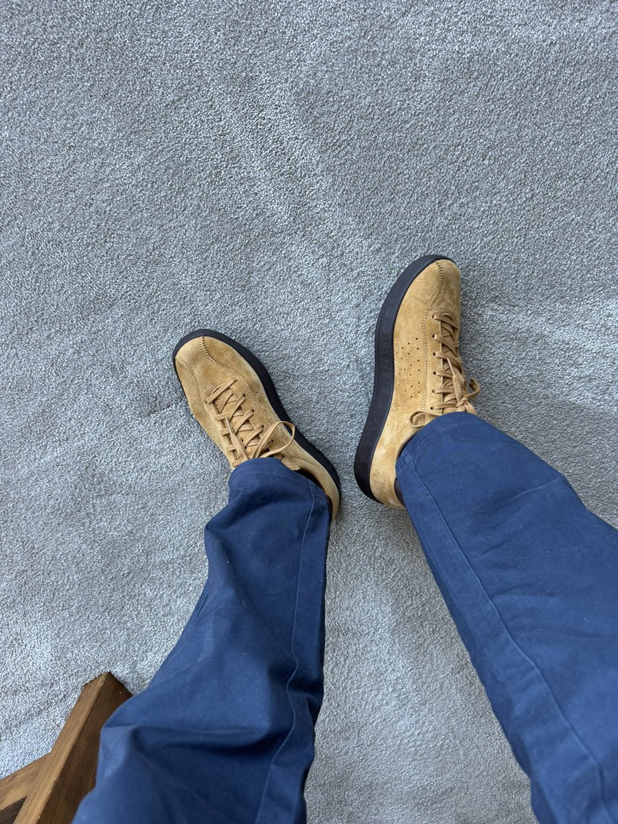 Blueyorkie tweet media