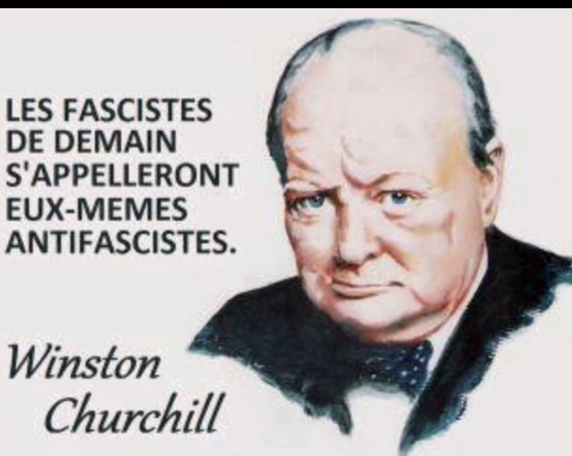 fred🥕🥕🥕🙈 tweet media