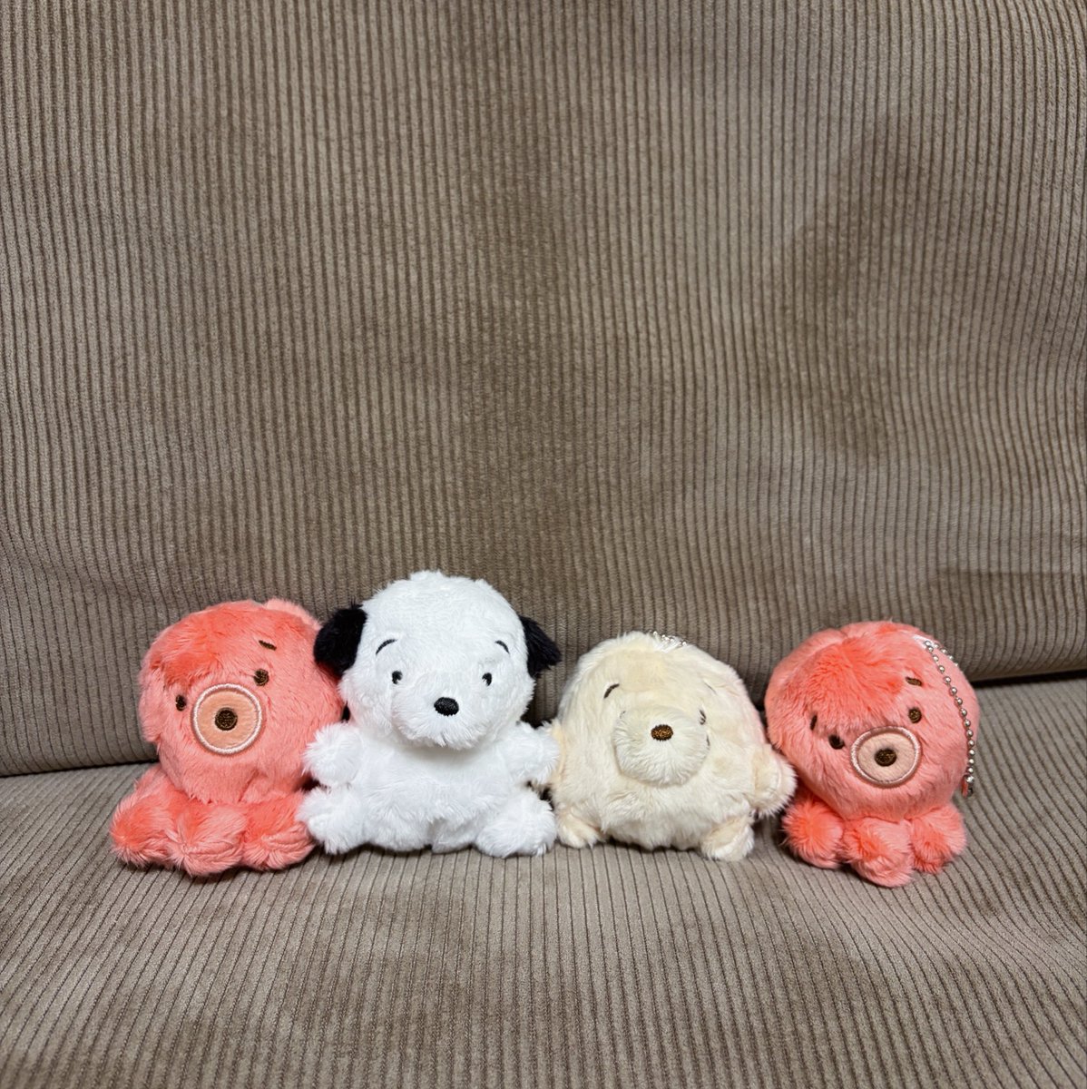 g____cm41's tweet photo. どこいくにも連れて歩いてる
犬めだかちゃんほんまにかわいい♡ https://t.co/4NviFbJFWE