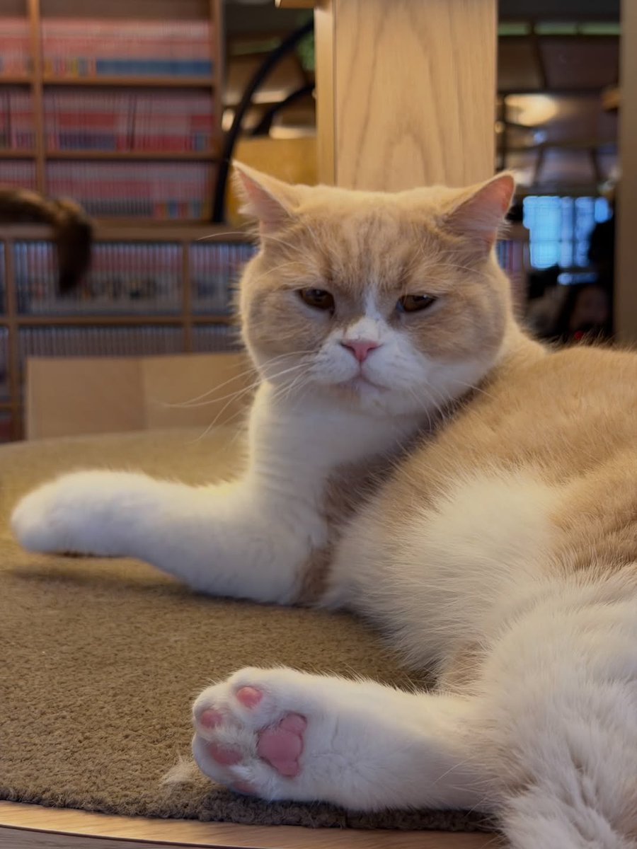 𝗧𝗔𝗘𝗬𝗘𝗢𝗡 𝗣𝗥𝗢𝗝𝗘𝗖𝗧 𝗧𝗛 tweet media