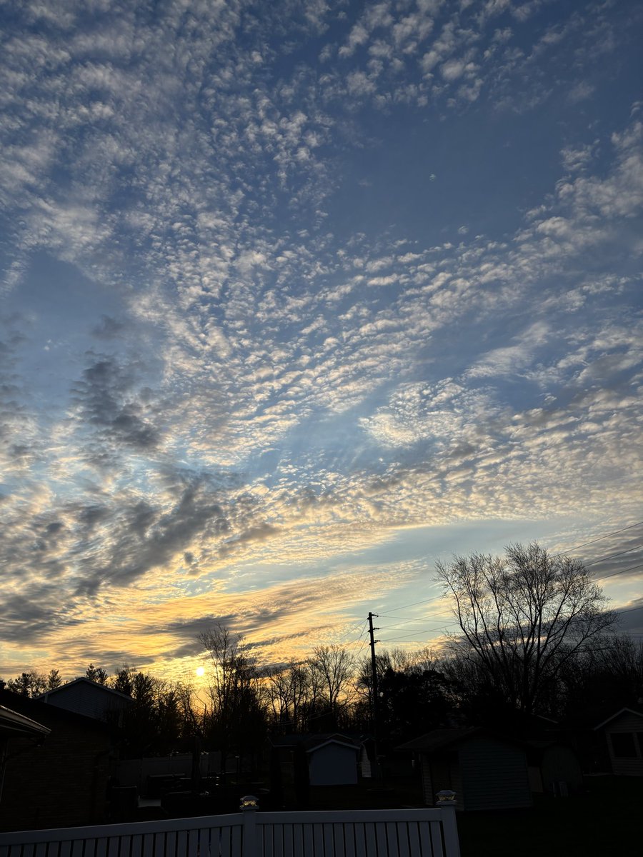 Tom Brunswick tweet media