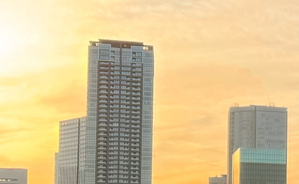 ≠Sarah tweet media