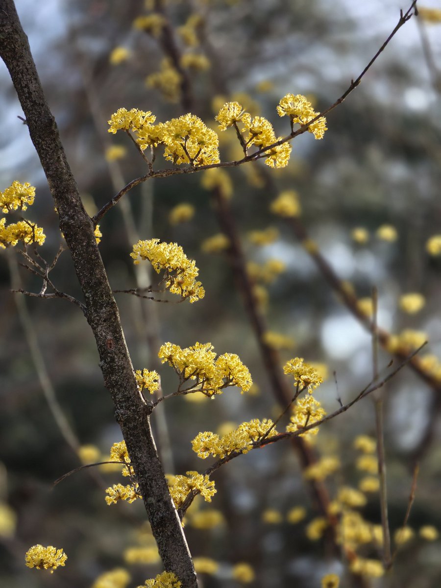 ようへい | トリニティ株式会社 tweet media