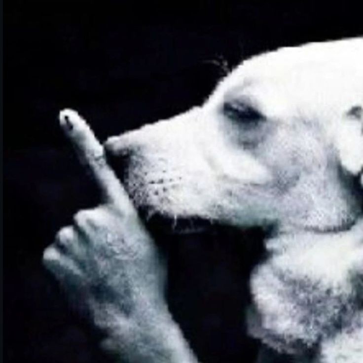 ᅠᅠᅠ𝘪'𝘮 𝘴𝘰 ᅠᅠᅠ𝗰𝗼𝗼𝗹ᅠᅠᅠ tweet media