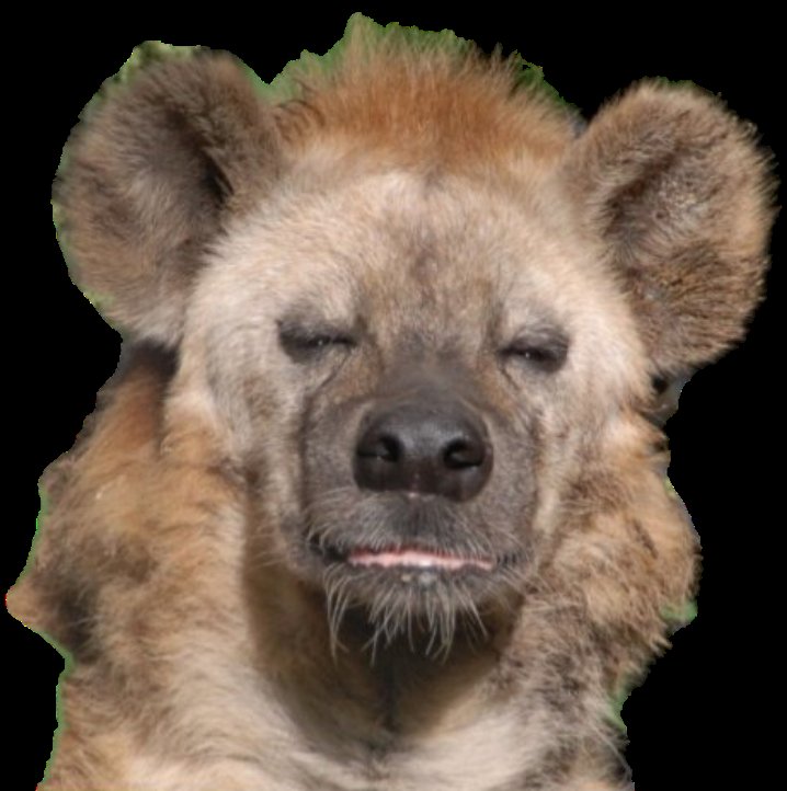 grossiest tweet media