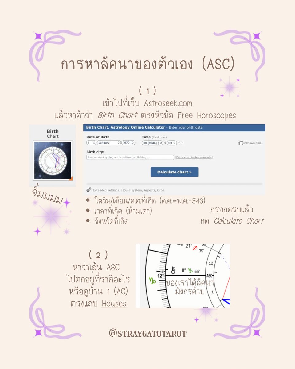 🍅 แมวจรพยากรณ์ tweet media