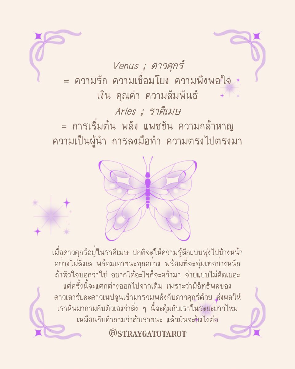 🍅 แมวจรพยากรณ์ tweet media