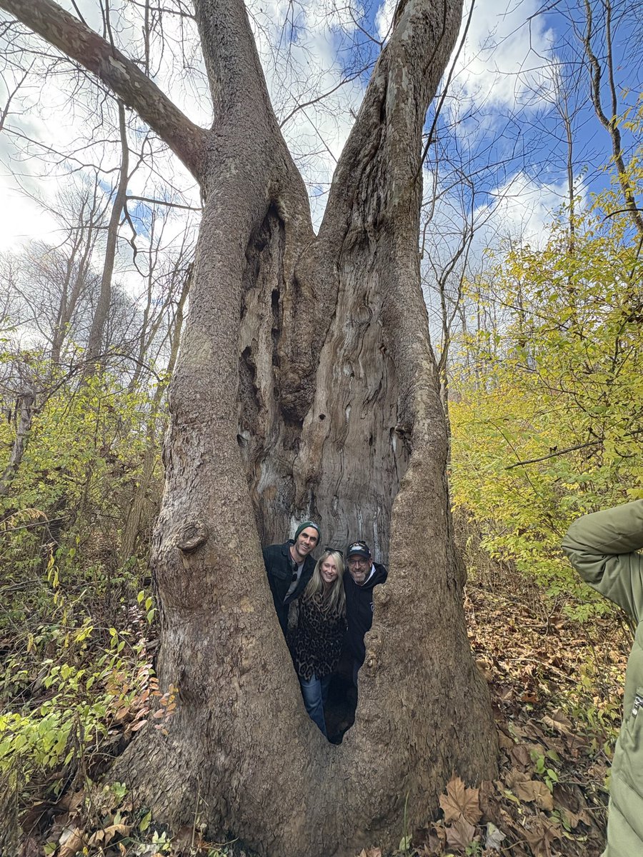 Michael Murphy tweet media