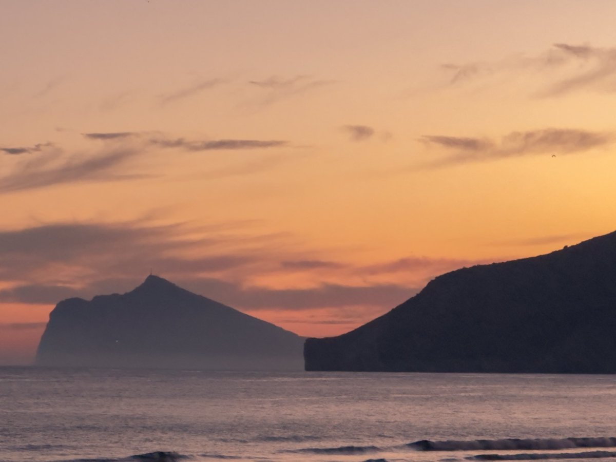 Dan Bell tweet media