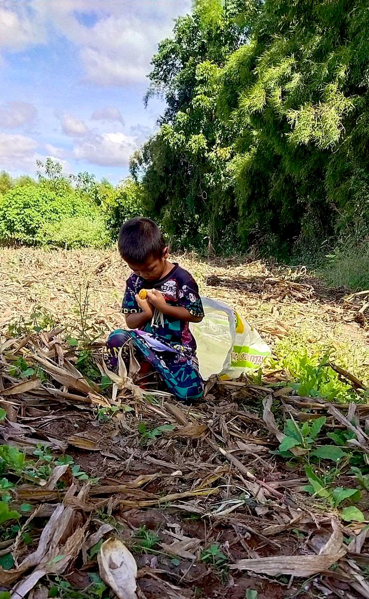 ครอบครัวช้างตกงาน ขอเปิดรับออร์เดอร์จี้งาหัวใจและรูปงา❤️ กำไลหางข้อมือปรับสายได้ พ่อควาญทำเองครับ🙏🐘 เพื่อสมทบทุนนำไปซื้อยามารักษาและแผลที่ยังไม่หายขอฝากคุณพี่ใจบุญช่วยเมตตาเอ็นดูครอบครัวช้างตกงานและลูกหน่อยนะครับขอกราบขอบพระคุณพี่ๆ ใจบุญทุกท่านที่เมตตาอย่างสูงครับคุณพี่🙏🙏🙏🐘