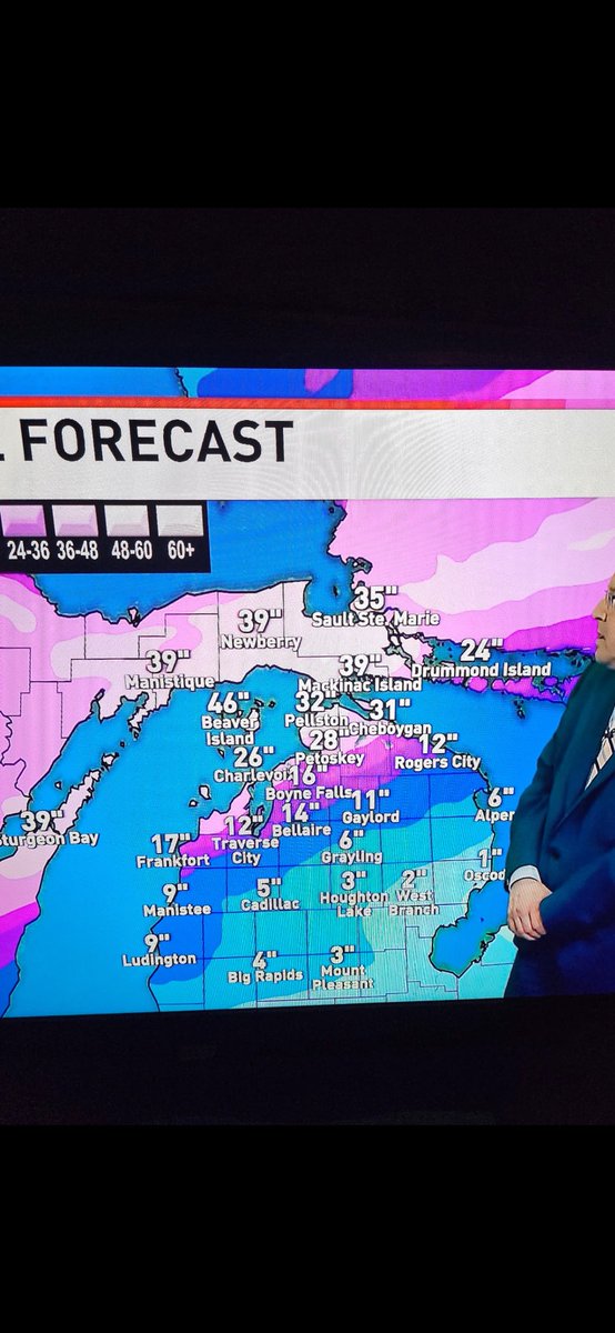 Trickster🦫🦁 tweet media