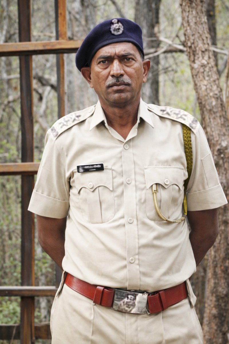 Maha Forest Official tweet media