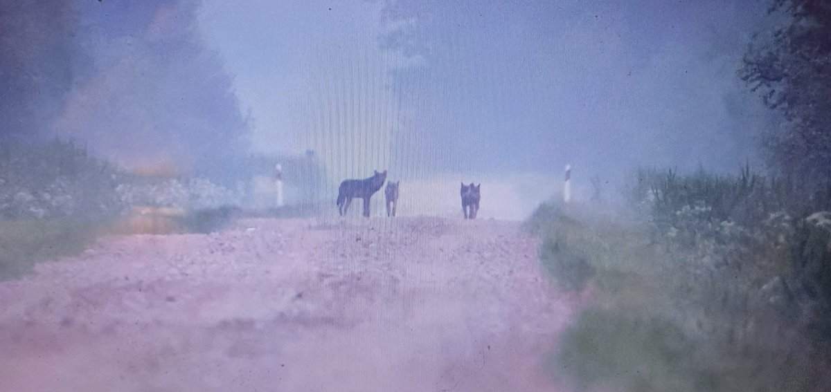 John Gale tweet media