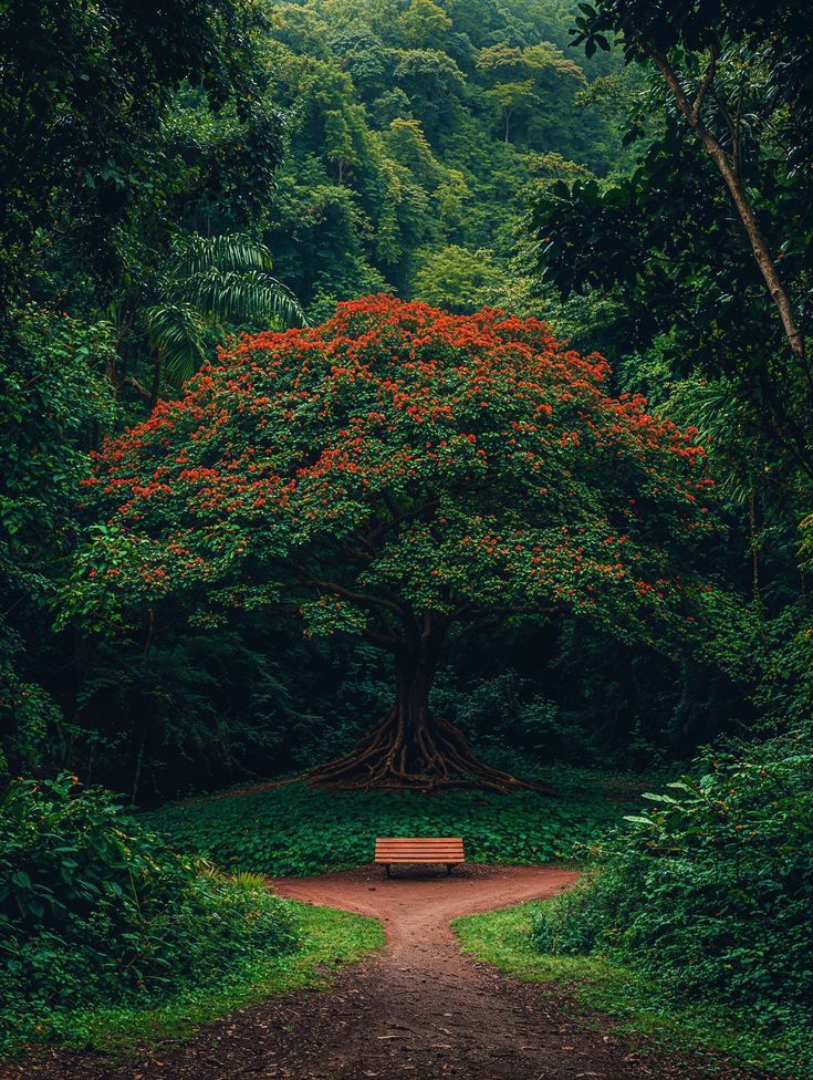 Brad_S_M's tweet photo. Good morning ☀️🌿 https://t.co/daUIzWArH4