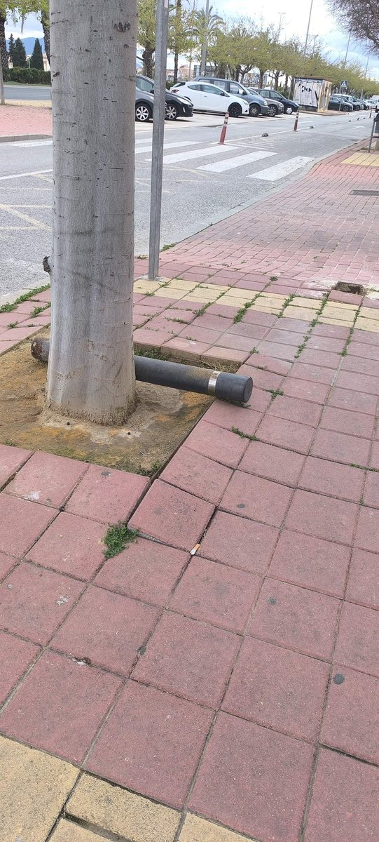 AVRondaSurMurci's tweet photo. De camino a casa, visto en menos de 40 metros en la Calle Ronda Sur. Parece una zona de guerra @AytoMurcia @MurciaPolicia @SantiagoMayorJM https://t.co/qjHN4Y3SDF