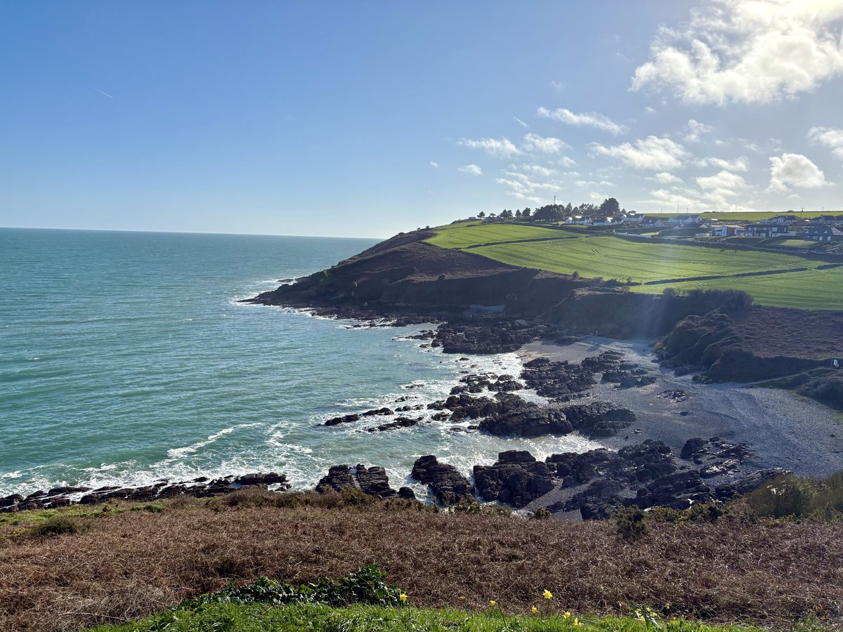 フ ォ リ ス tweet media