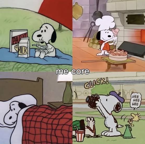 snoopyfever_'s tweet photo. https://t.co/GuP9SUlr5H