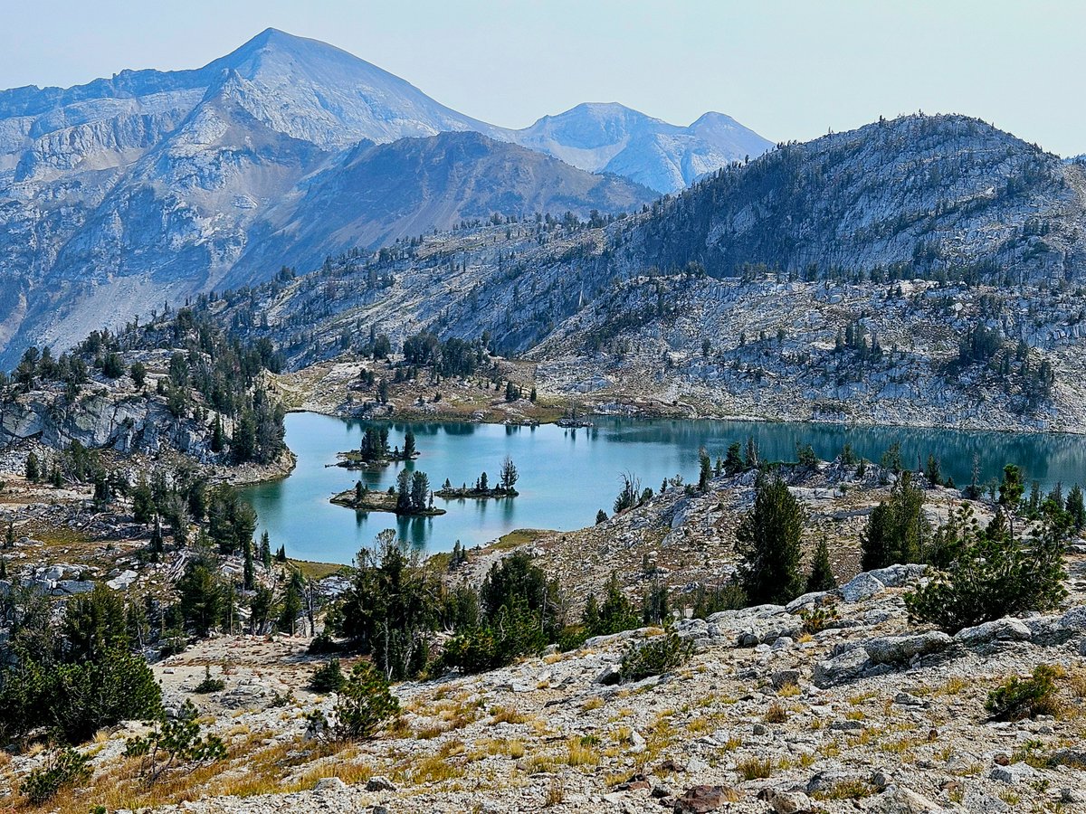 Dennis C tweet media